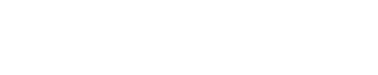 MS-Sur — Maritime Surveyors